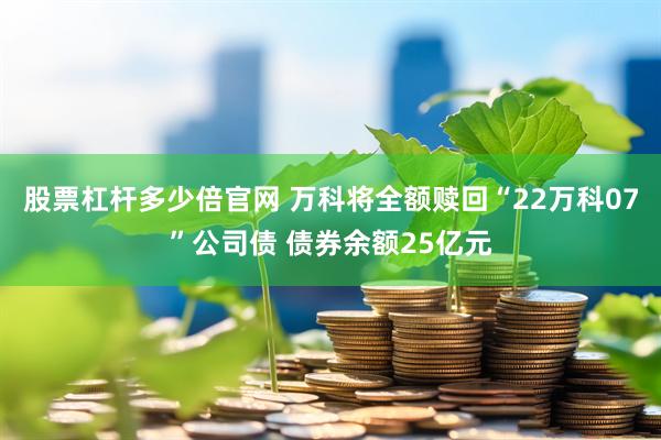 股票杠杆多少倍官网 万科将全额赎回“22万科07”公司债 债券余额25亿元