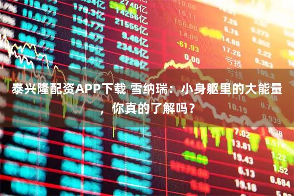 泰兴隆配资APP下载 雪纳瑞：小身躯里的大能量，你真的了解吗？