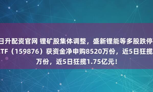 日升配资官网 锂矿股集体调整,盛新锂能等多股跌停!有色龙头ETF(159876)获资金净申购8520万份,近5日狂揽1.75亿元!