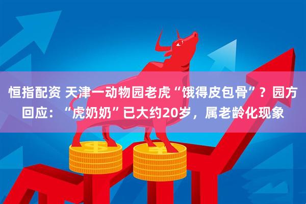 恒指配资 天津一动物园老虎“饿得皮包骨”？园方回应：“虎奶奶”已大约20岁，属老龄化现象